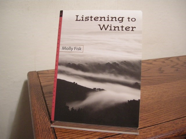 Listening to Winter