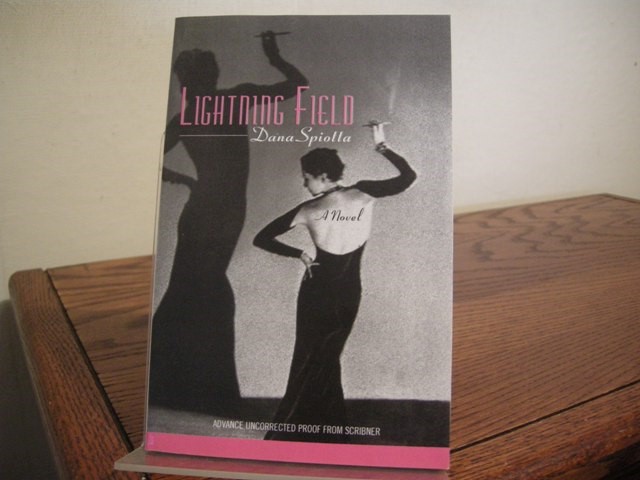 Lightning Field