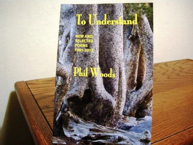 To Understand: New and Selected Poems, 1981-2015