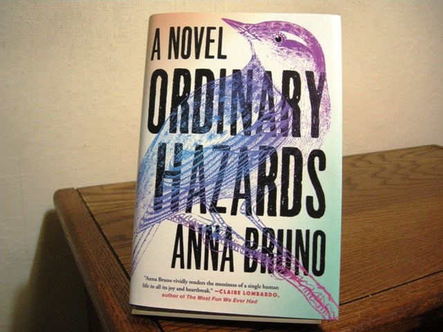 Ordinary Hazards
