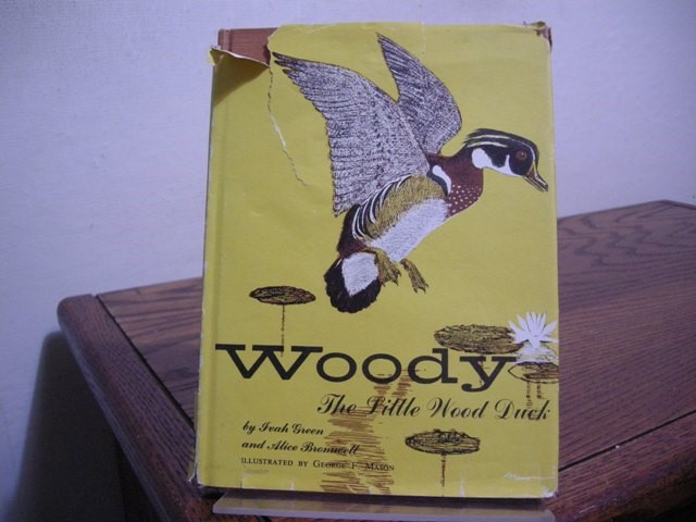 Woody, the Little Wood Duck