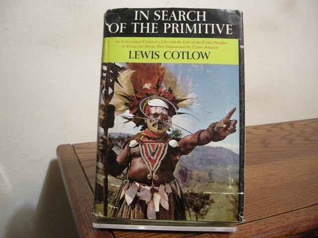 In Search of the Primitive