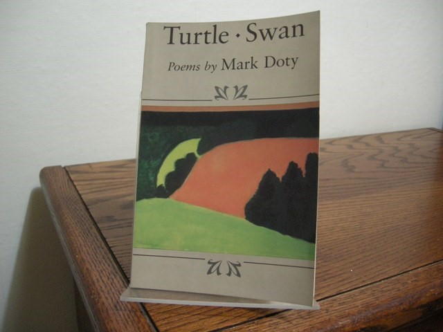 Turtle, Swan