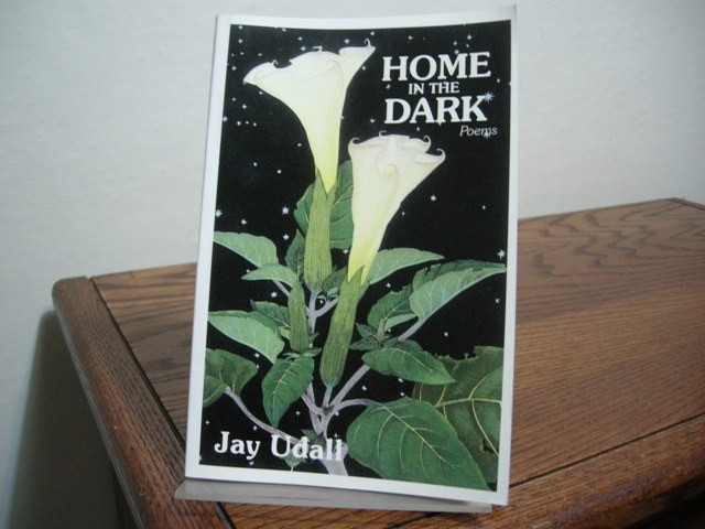 Home in the Dark: Poems