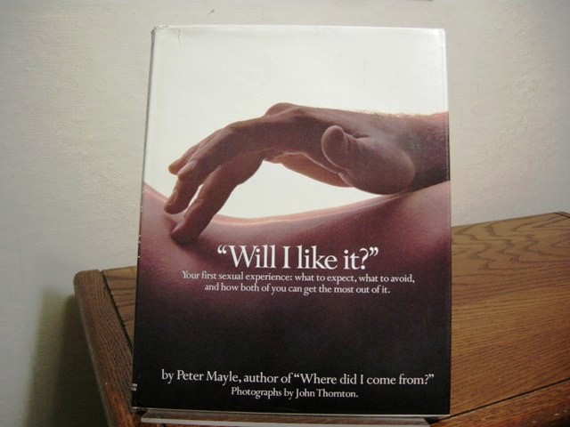 Will I Like It Your first sexual experience: what to expect, what to avoid, and how both of you can get the most out of it