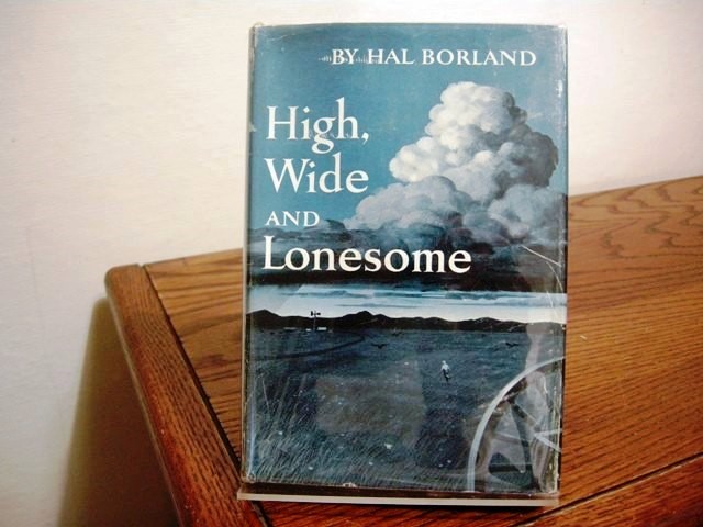 High, Wide and Lonesome