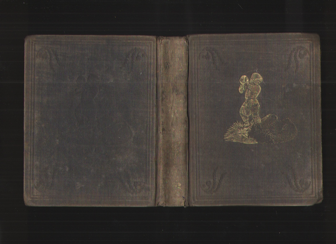 Image for Good in Every Thing. A Story. [Early History of Gilbert Harland]
