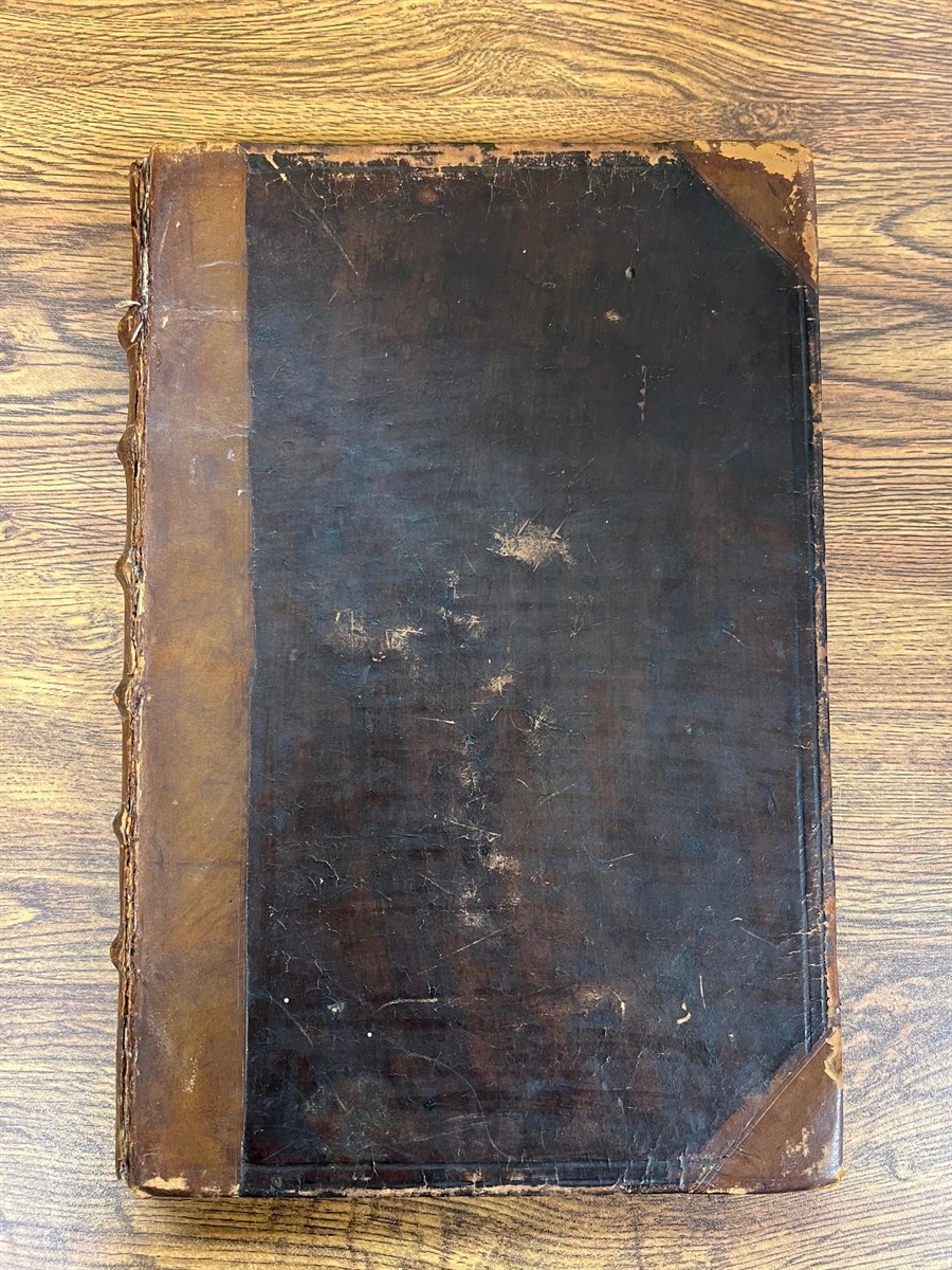 Historie of the Raigne of King Henry the Seventh