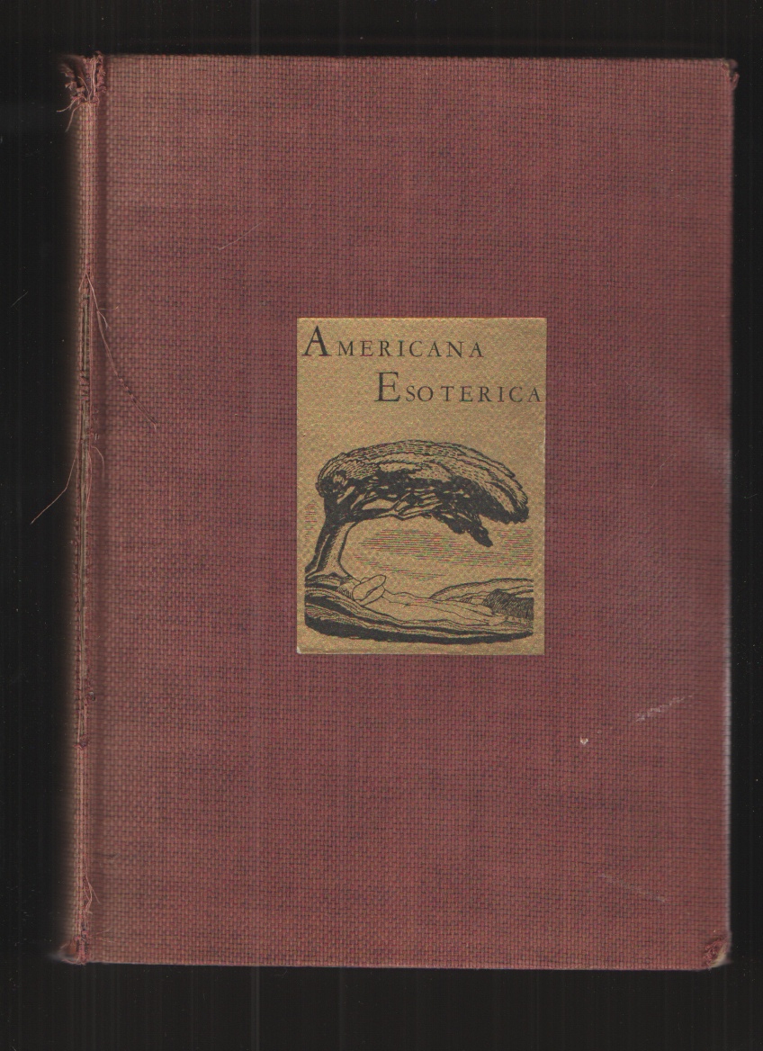 Image for Americana Esoterica