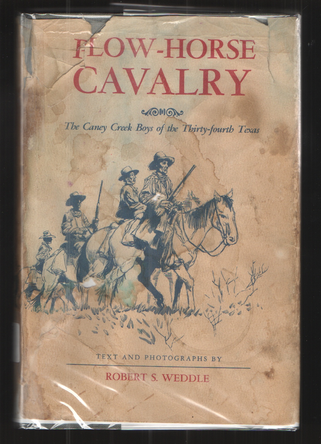 Image for Plow-Horse Cavalry The Caney Creek Boys of the Thirty-fourth Texas