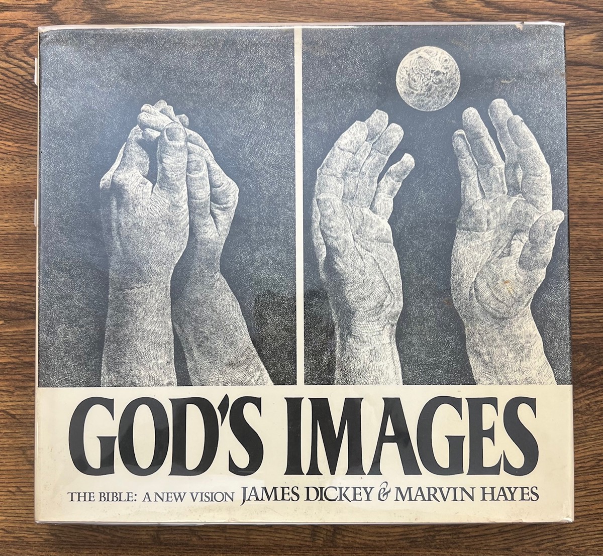 God's Images The Bible: a New Vision