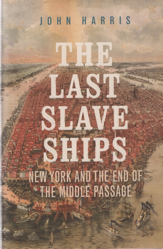 Image for THE LAST SLAVE SHIPS