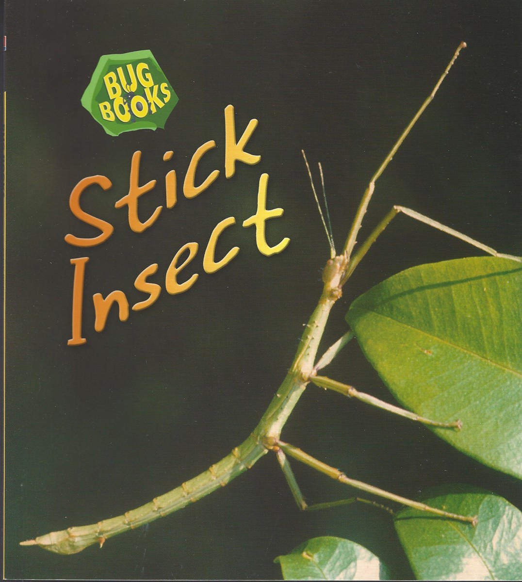 stick-insect