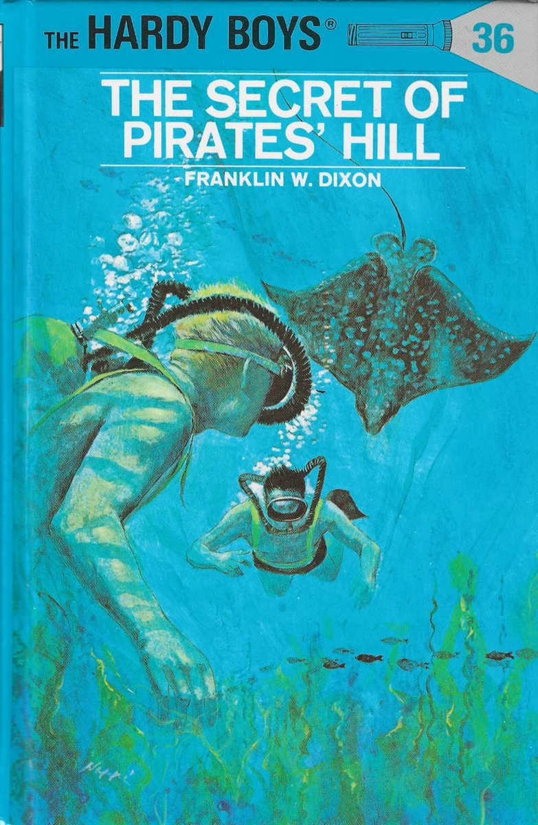 THE SECRET OF PIRATE'S HILL