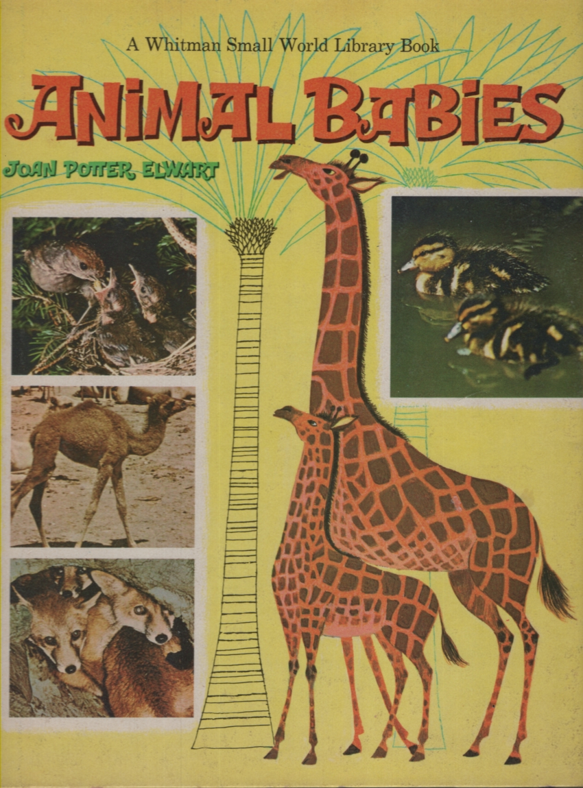 ANIMAL BABIES