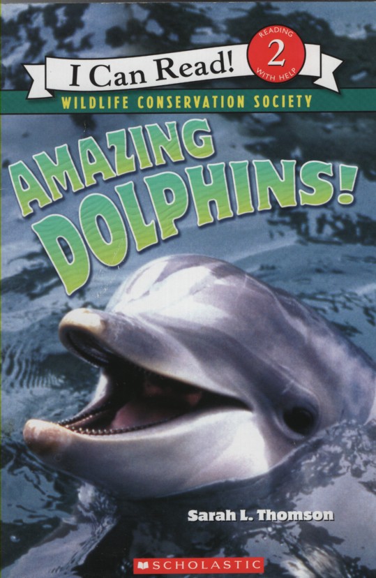 AMAZING DOLPHINS