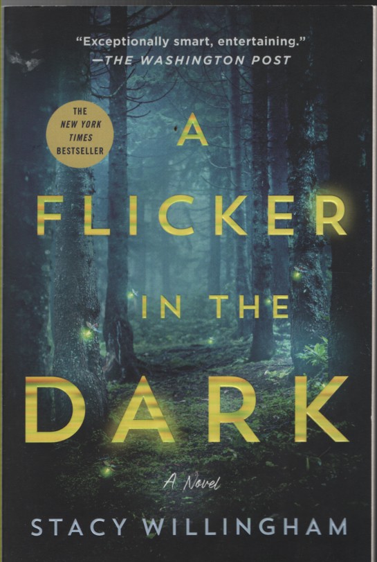 A FLICKER IN THE DARK