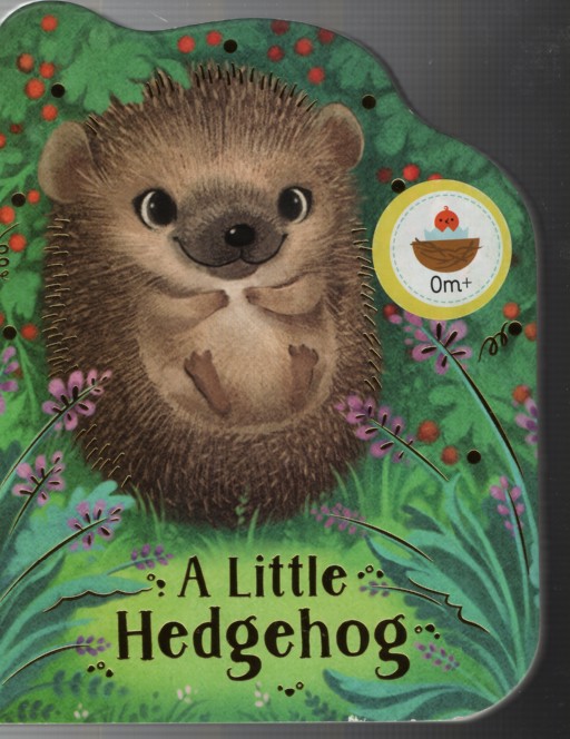 A LITTLE HEDGEHOG