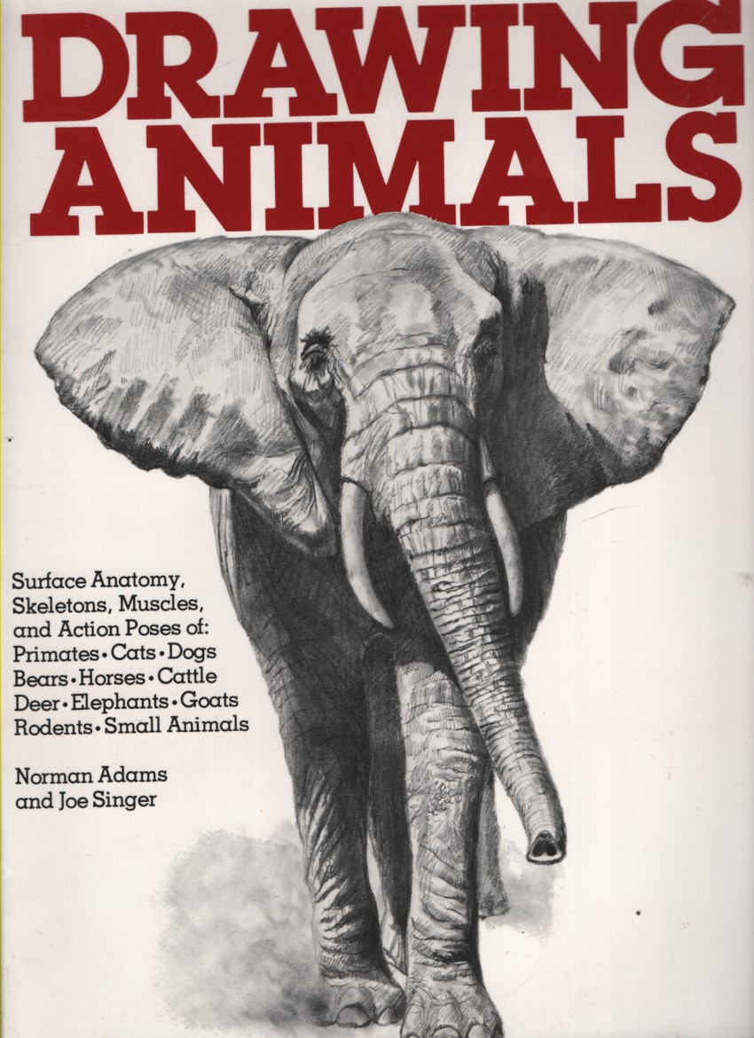 DRAWING ANIMALS