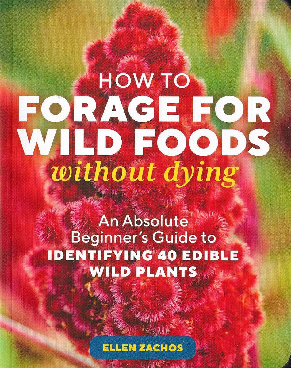 HOW TO FORAGE FOR WILD FOODS WITHOUT DYING An Absolute Beginner's Guide to Identifying 40 Edible Wild Plants