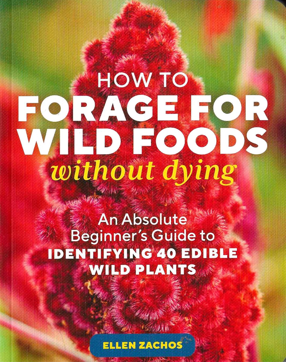 HOW TO FORAGE FOR WILD FOODS WITHOUT DYING An Absolute Beginner's Guide to Identifying 40 Edible Wild Plants
