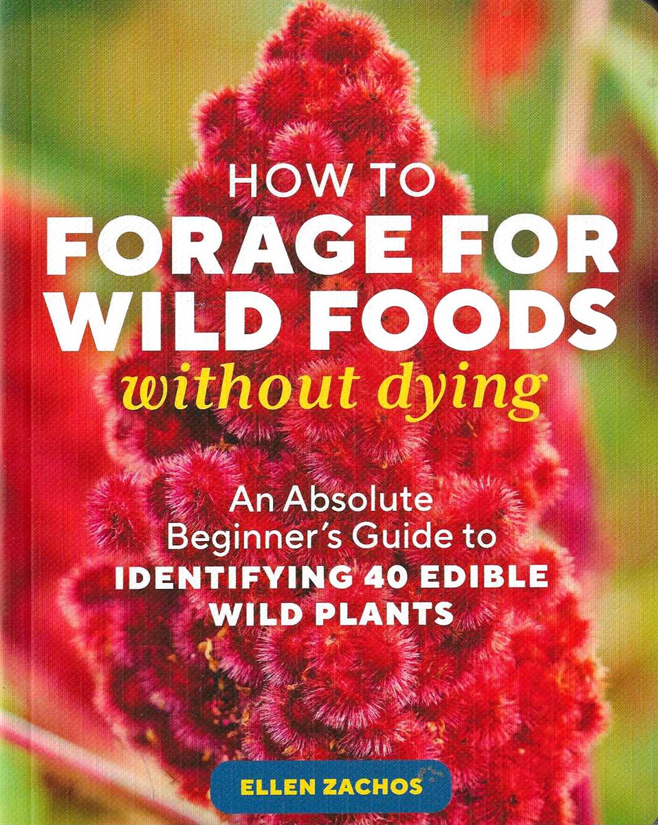 HOW TO FORAGE FOR WILD FOODS WITHOUT DYING An Absolute Beginner's Guide to Identifying 40 Edible Wild Plants