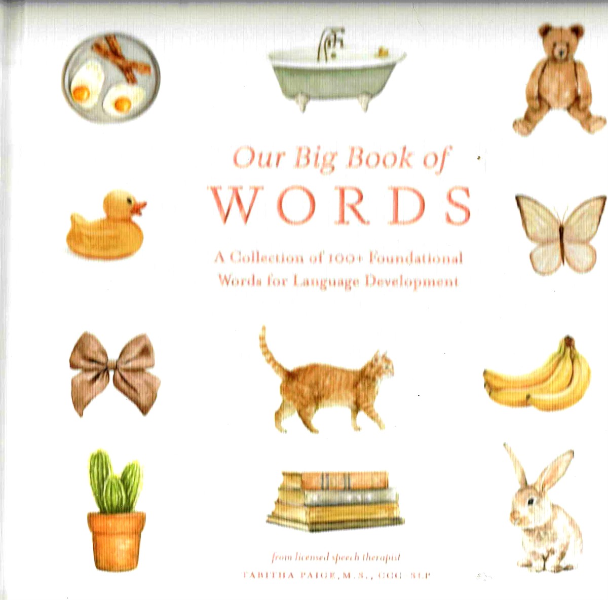 OUR BIG BOOK OF WORDS