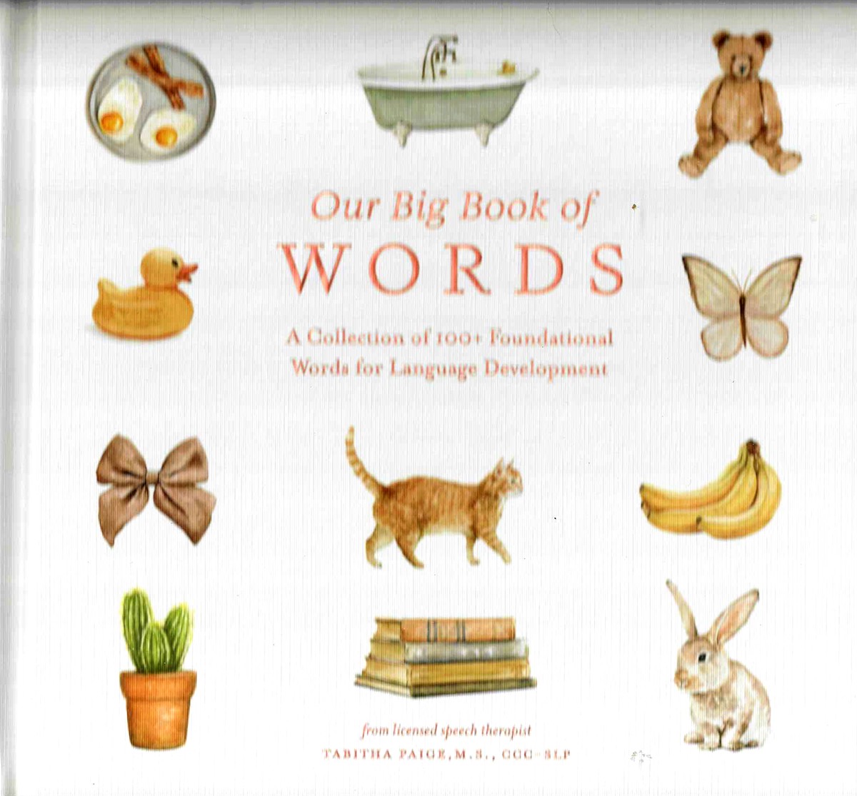OUR BIG BOOK OF WORDS