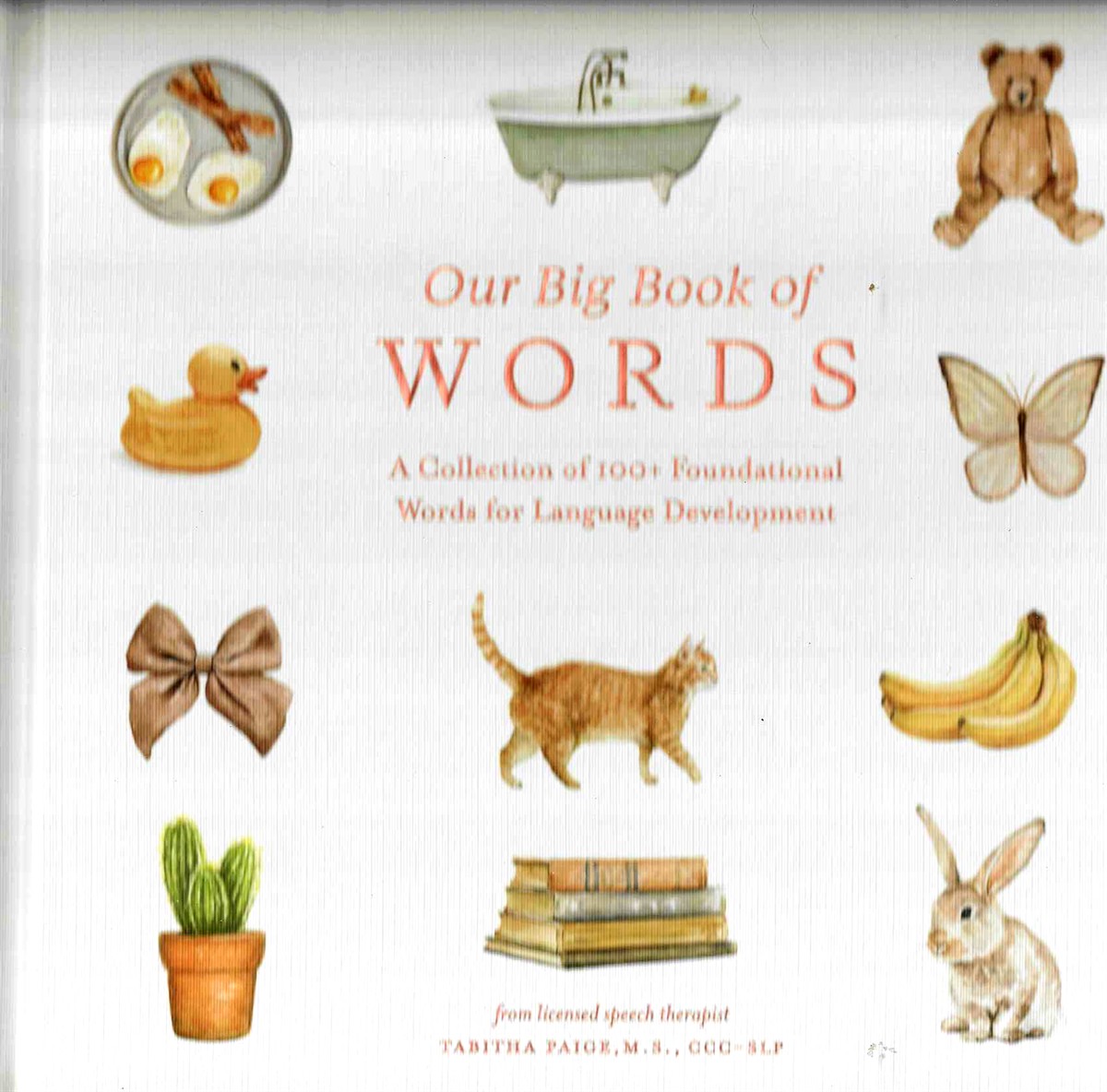 OUR BIG BOOK OF WORDS