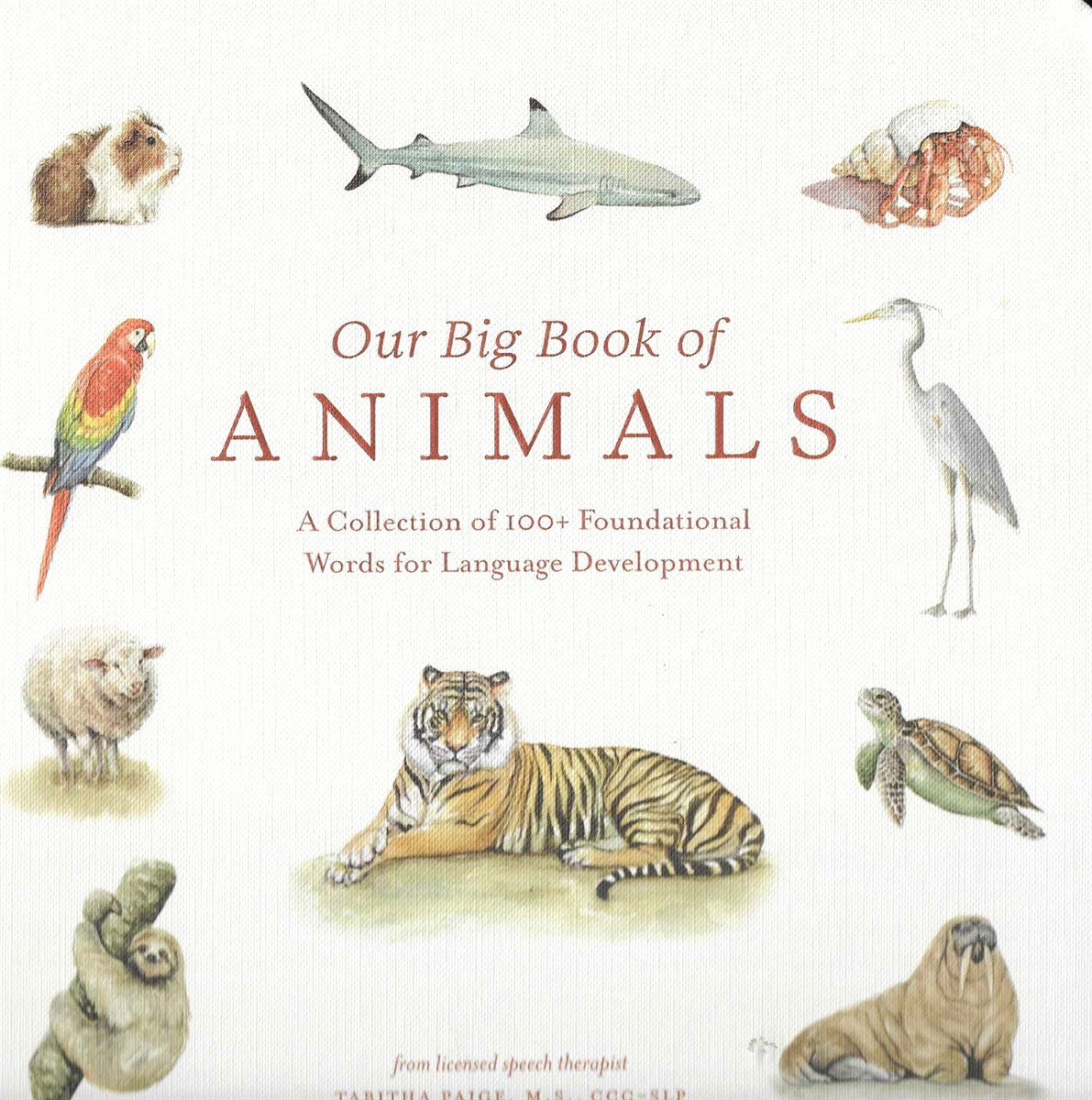 OUR BIG BOOK OF ANIMALS