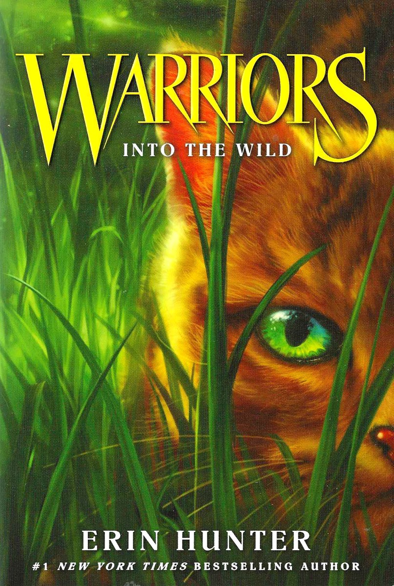 INTO THE WILD