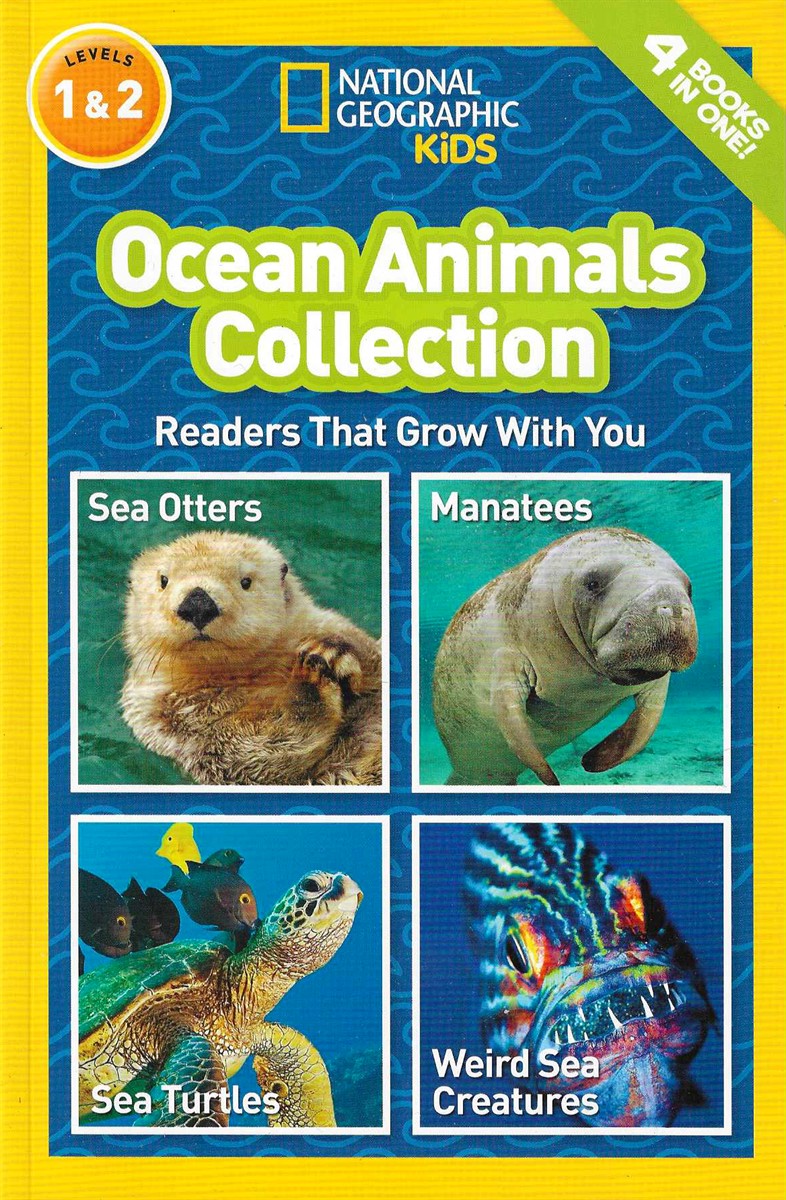 OCEAN ANIMALS COLLECTION; Sea Otters / Manatees / Sea Turtles / Weird Sea Creatures