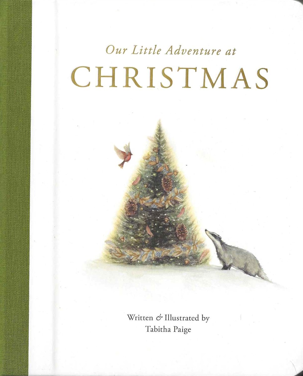 OUR LITTLE ADVENTURE AT CHRISTMAS