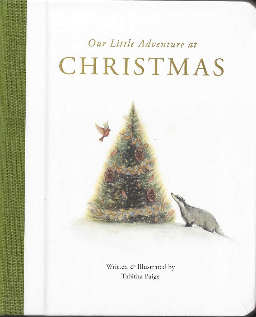 OUR LITTLE ADVENTURE AT CHRISTMAS