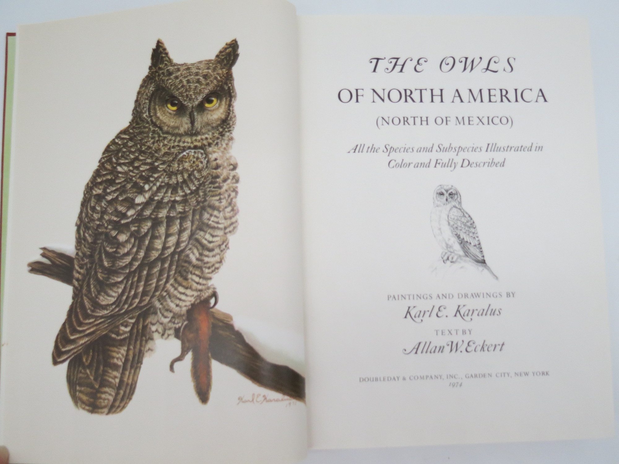 THE OWLS OF NORTH AMERICA All the Species and Subspecies Illustrated in ...