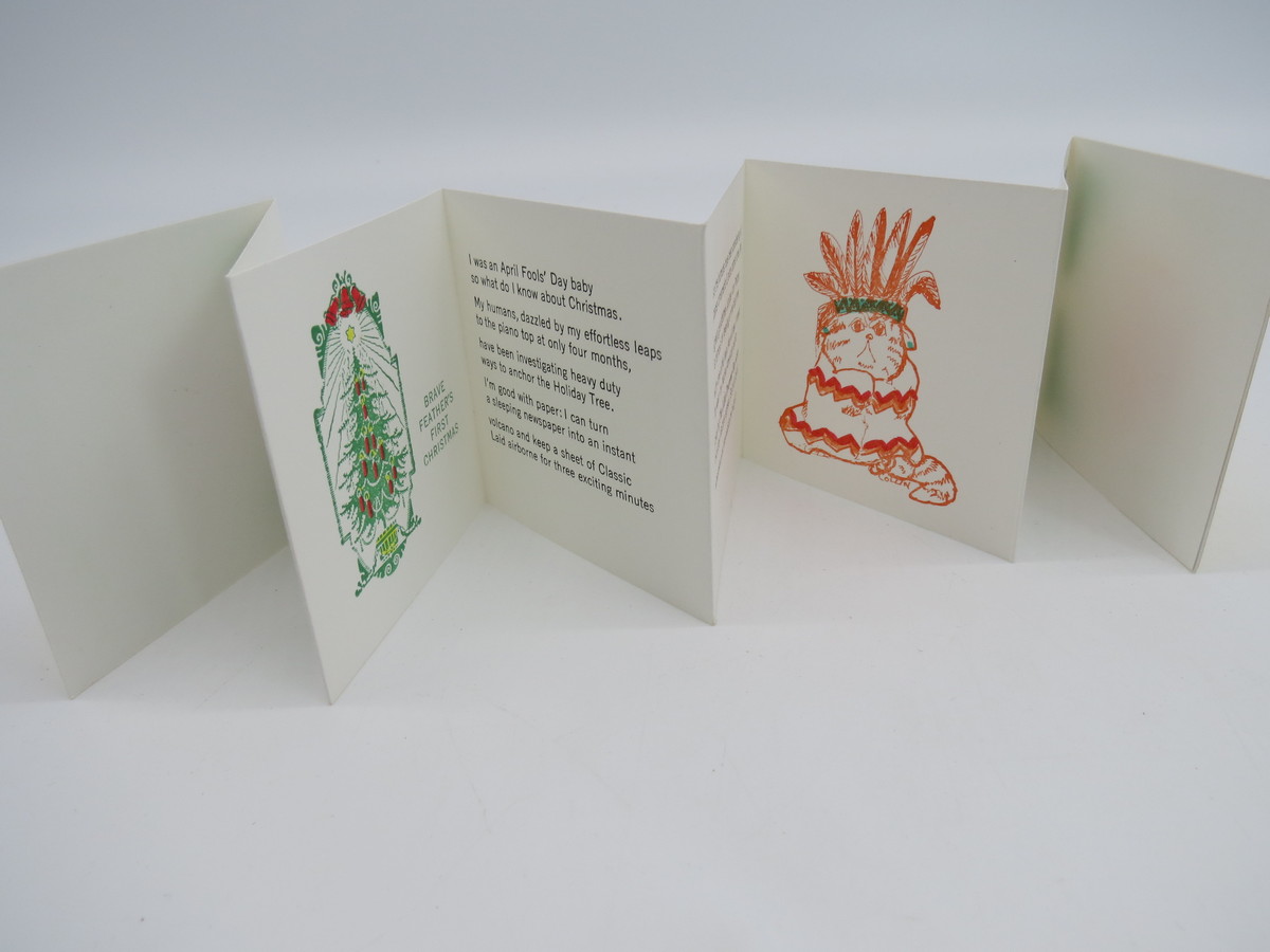 Image for BRAVE FEATHER'S FIRST CHRISTMAS (MINIATURE BOOK)