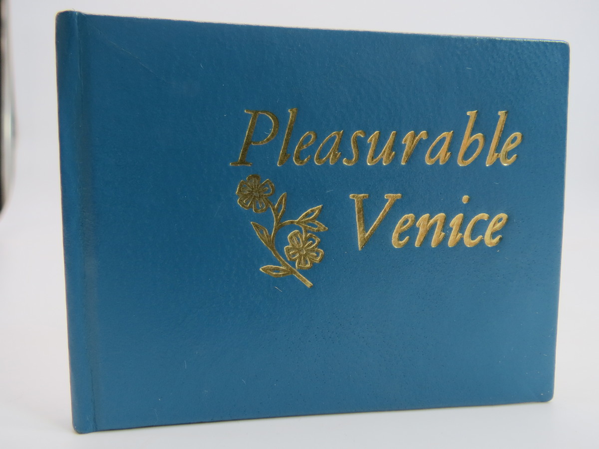 Image for PLEASURABLE VENICE (MINIATURE BOOK)