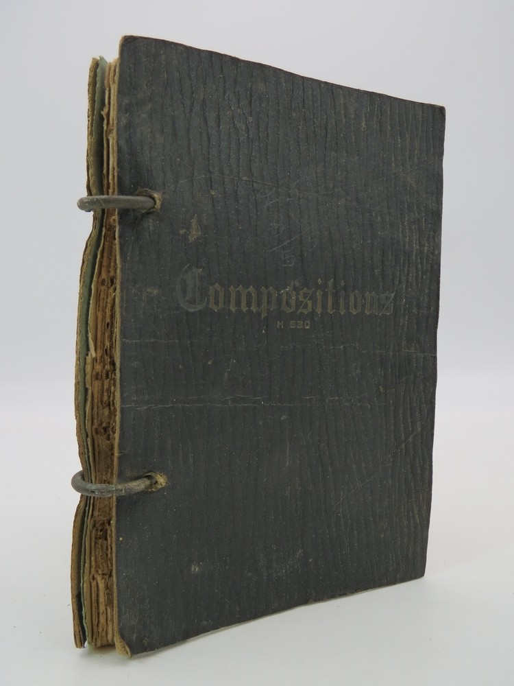 THE BOOK OF THE CAMP FIRE GIRL