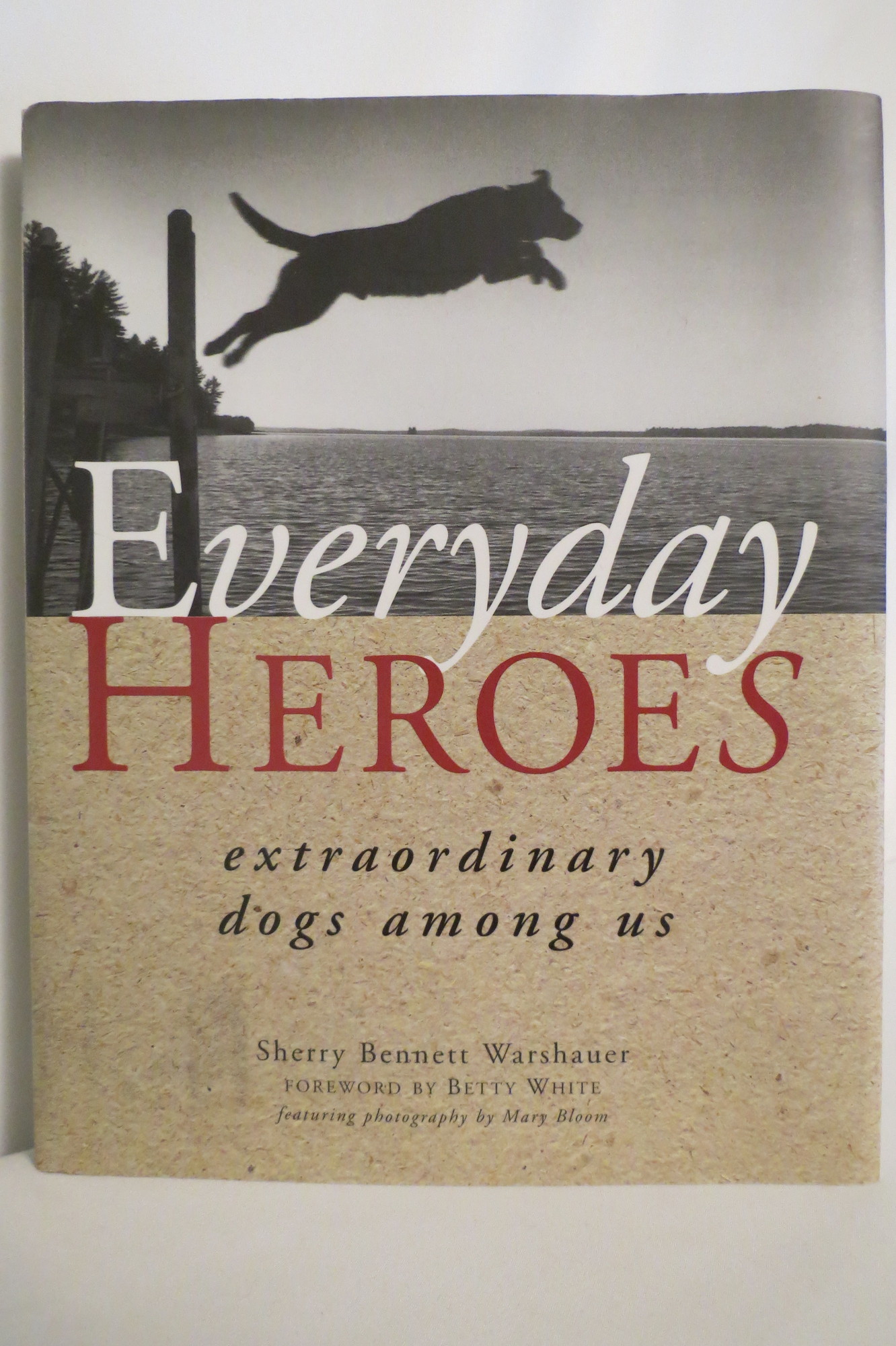 Image for EVERDAY HEROES Extraordinary Dogs Among Us (DJ protected by a brand new, clear, acid-free mylar cover)