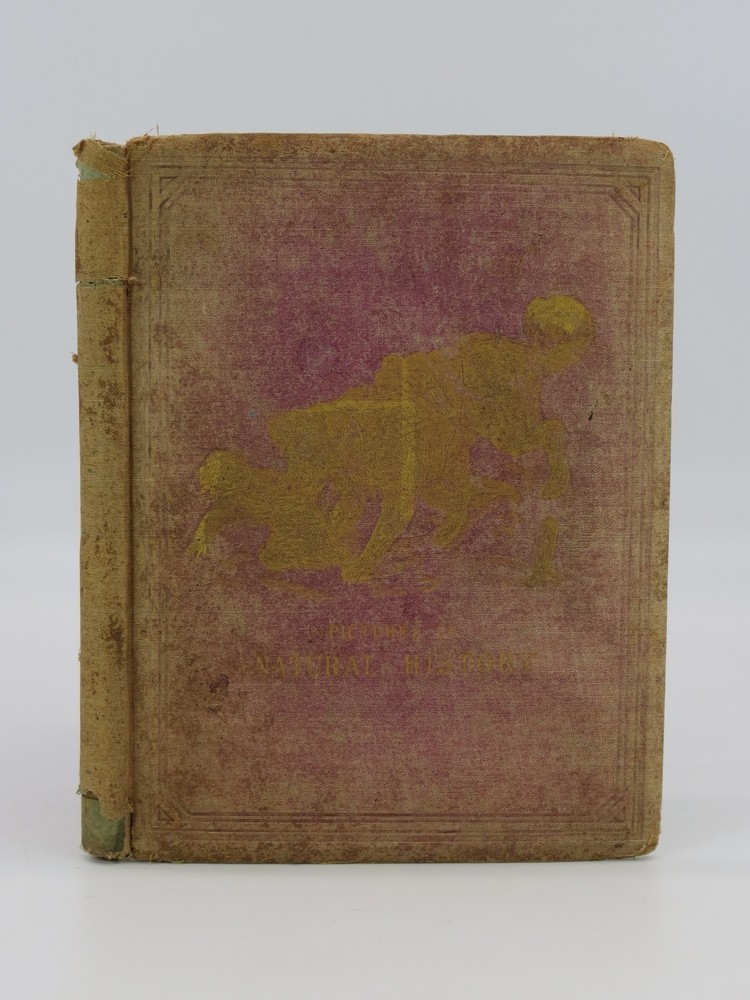 PICTURES OF NATURAL HISTORY (BEAUTIFUL COLOR PLATES OF MAMMALS)