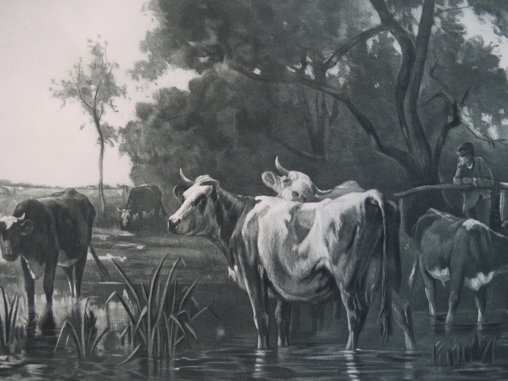ANTIQUE C. 1885 PHOTOGRAVURE ETCHING IN THE MEADOWS COWS BY EMILE VAN MARCKE
