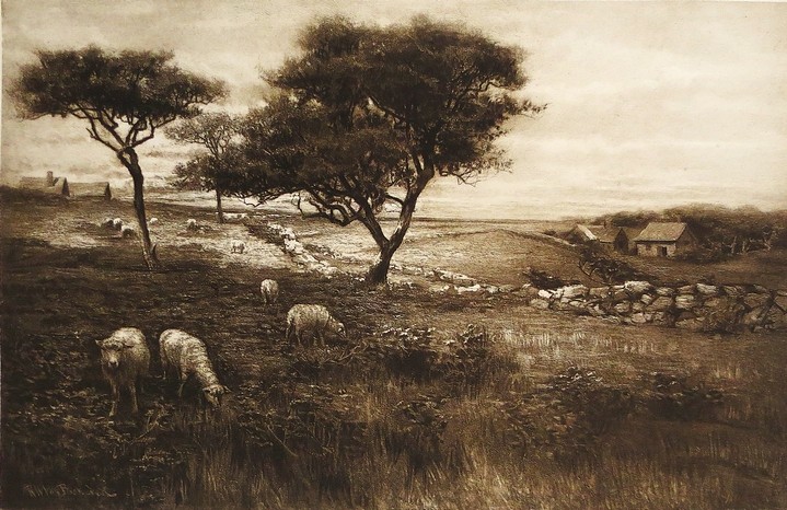 ANTIQUE 1890 ROBERT WARD VAN BOSKERCK LANDSCAPE AND SHEEP PHOTOGRAVURE PRINT