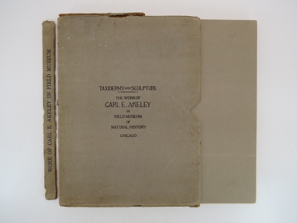 TAXIDERMY AND SCULPTURE. THE WORK OF CARL E. AKELEY IN FIELD MUSEUM OF NATURAL HISTORY.