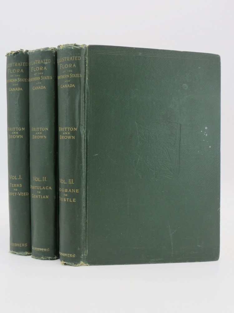 AN ILLUSTRATED FLORA OF THE NORTHERN UNITED STATES, CANADA, AND THE BRITISH POSSESSIONS Volumes I, II, & III (Complete 3 Volume Set)