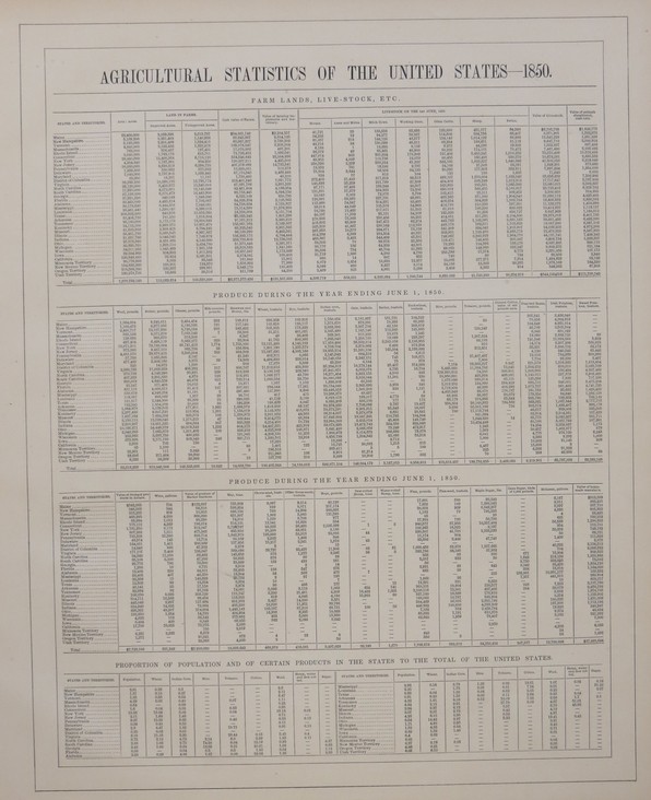 ANTIQUE CHART OF AGRICULTURAL STATISTICS OF THE UNITED STATES 1850
