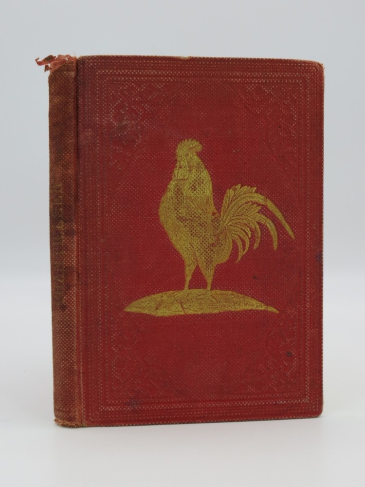 THE LIFE AND ADVENTURES OF CHANTICLEER The Intelligent Rooster