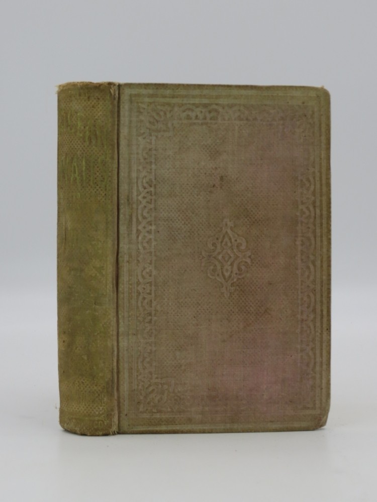 THE OCEAN WAIFS A Story of Adventure on Land and Sea