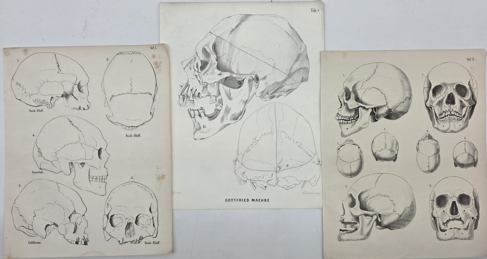 SET OF 3 19TH C. SKULL LITHOGRAPHS