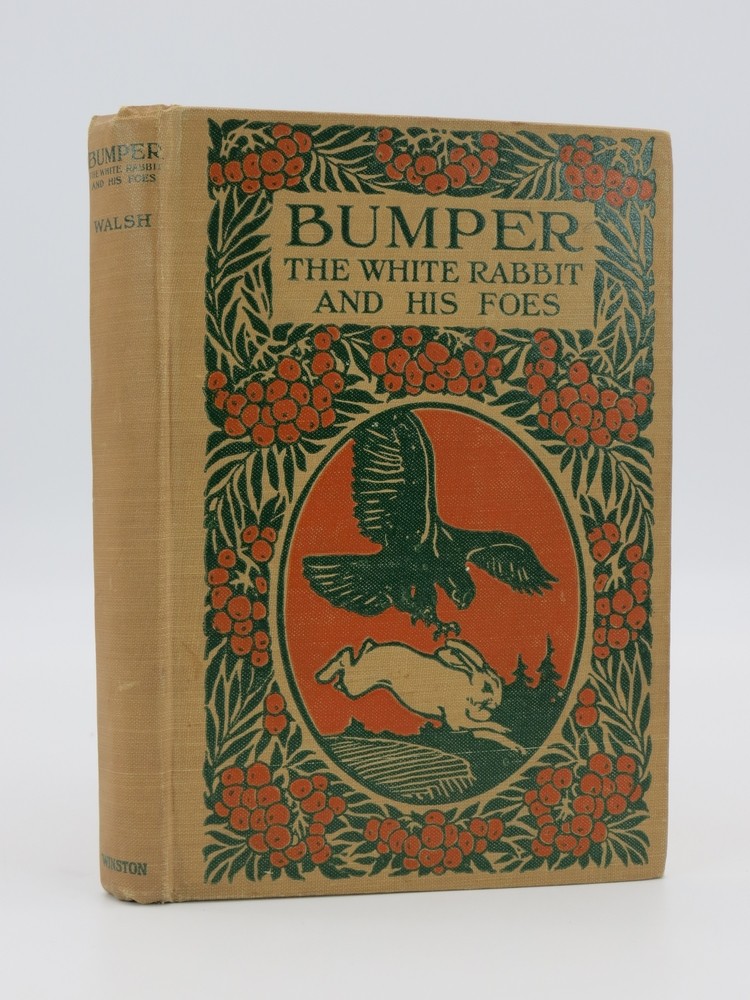 BUMPER THE WHITE RABBIT AND HIS FOES