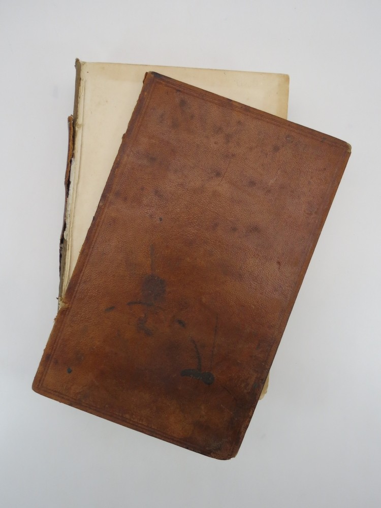A TREATISE ON THE LAW RELATING TO THE POWERS AND DUTIES OF JUSTICES OF THE PEACE AND CONSTABLES IN THE STATE OF KENTUCKY
